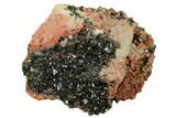 Deep-Green Libethenite Crystal Cluster #169821-1